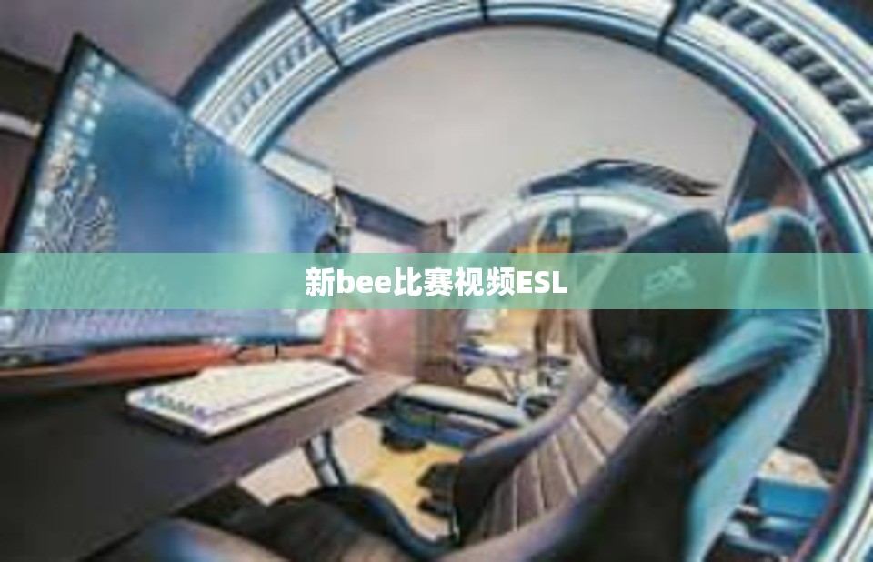 新bee比赛视频ESL