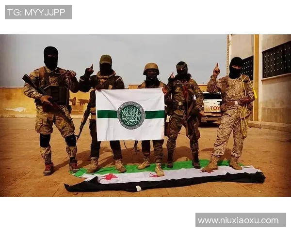 hts比赛-HTS比赛的激情与荣耀-hts比赛